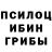 Псилоцибиновые грибы Psilocybe Semurey Jengkoley