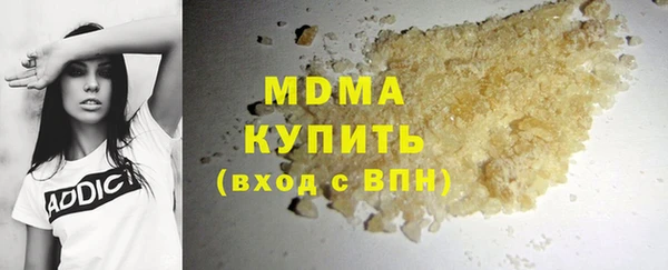 индика Инта