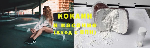 прущие грибы Иннополис