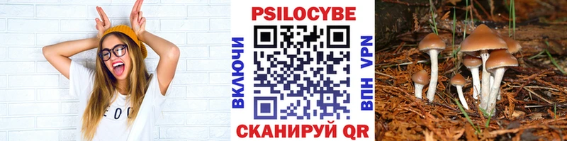 Галлюциногенные грибы Psilocybine cubensis  Верхнеуральск 